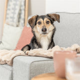 Trixie Hondendeken Elli Donkergrijs