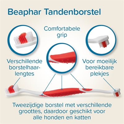 Beaphar Tandpasta En Borstel Combi-Pack