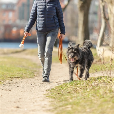Trixie Sleeplijn Met Rubber Bekleed Zonder Handlus Oranje 10 Mtrx1,5 Cm