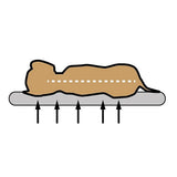 Sun Garden Buddy Orthopedisch Hondenkussen 72X50X8Cm Beige/Donkerbuin