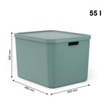 Rotho Albula Multibox 55L Mistletoe Groen