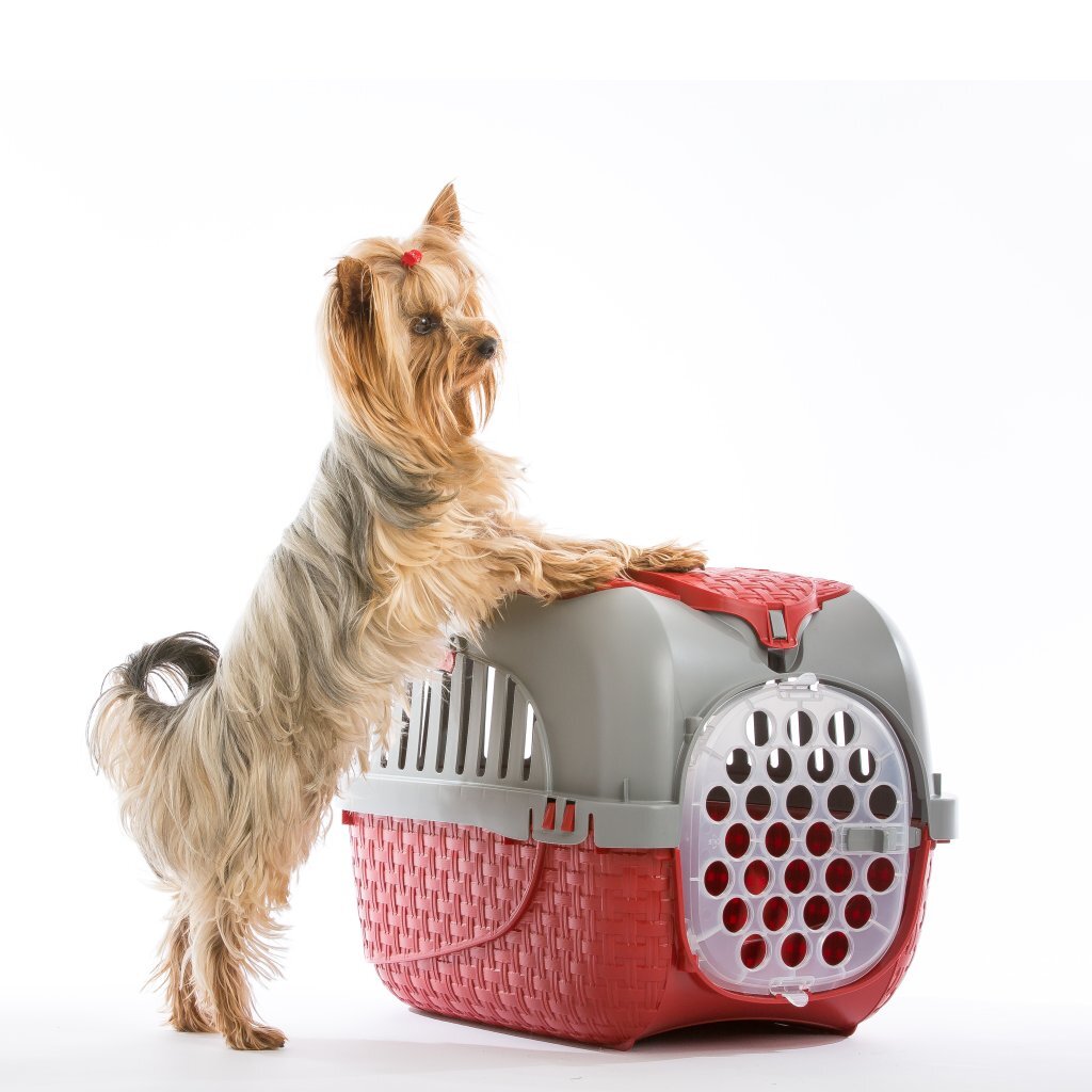 Bama Pet Transportbox 59X38X37 Cm Rood/Zilver