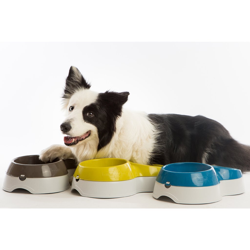 Bama Pet Voerderbak Met Waterreservoir 33X20X9 Cm Assorti
