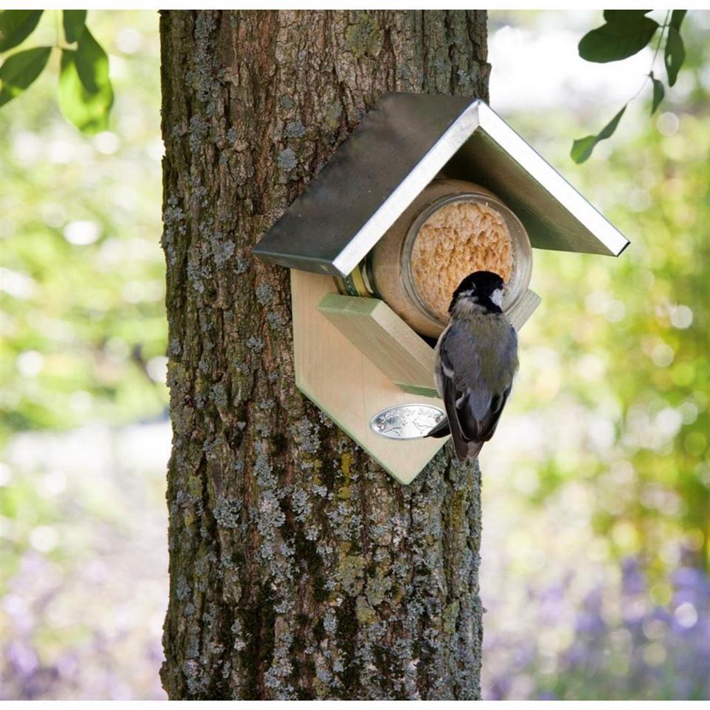 Best For Birds Houten Pindakaashuisje