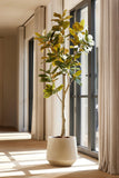 Magnolia Denudata - 150 Cm - Artificial Tree