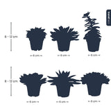 Succulent Mix Set - Assorted Succulents In 6 Cm Pots (8–12 Cm High)