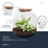 Emma Mini - Terrarium With Cork - Bottle Garden Diy Kit - Ø 19 Cm ↑ 20 Cm