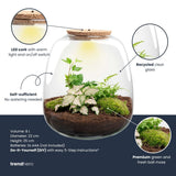 Emma - Terrarium With Light - Bottle Garden Diy Kit - Ø 23 Cm ↑ 25 Cm