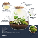 Terrarium Emma - Ø 23 Cm ↑ 25 Cm - Relatiegeschenk