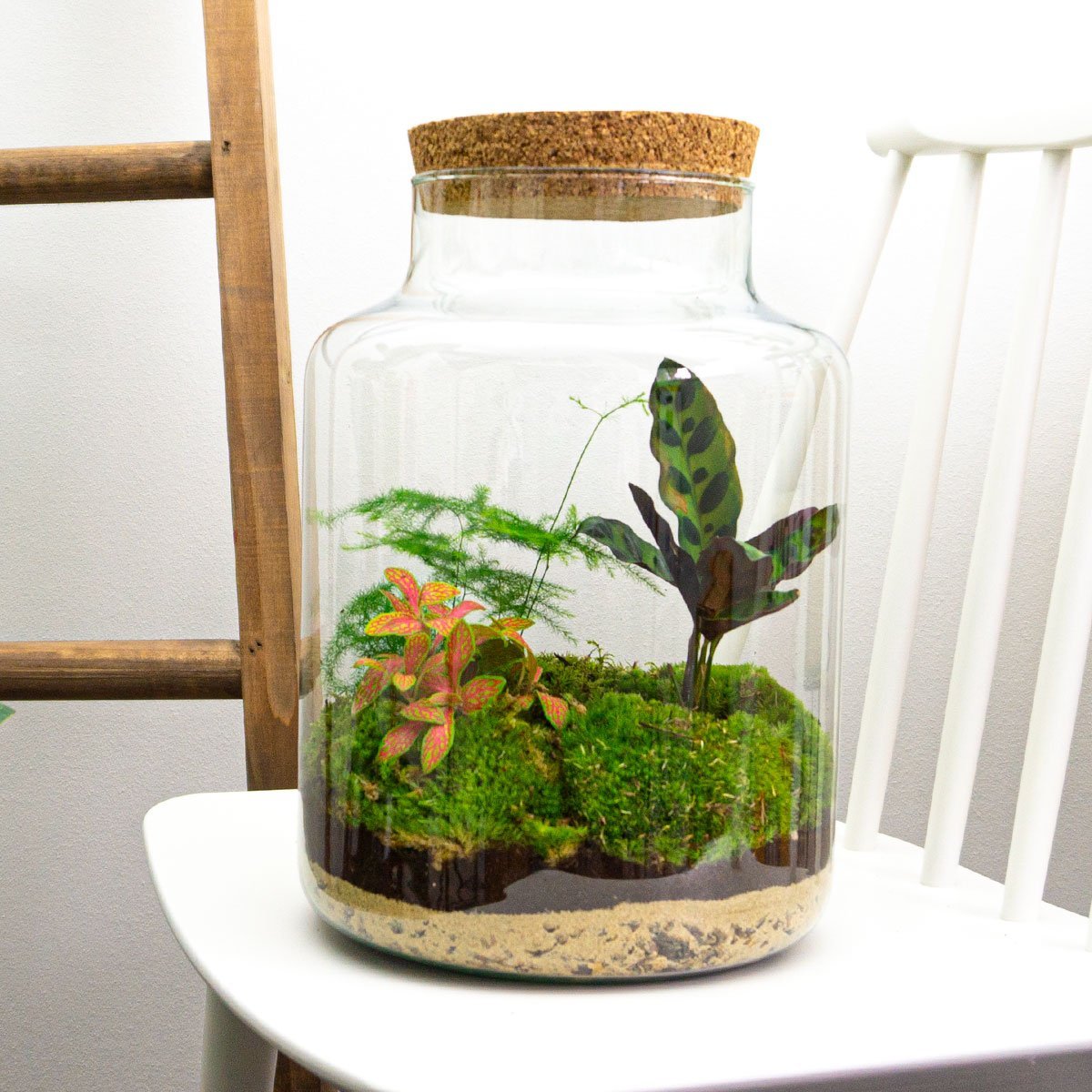 Milky - Terrarium - Bottle Garden Diy Kit - Ø 21 Cm ↑ 30 Cm