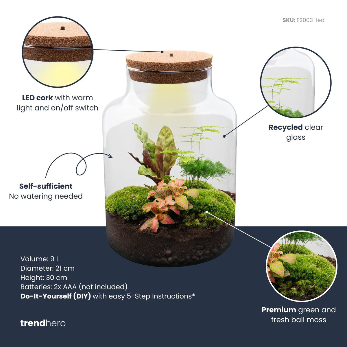 Milky - Terrarium - Bottle Garden Diy Kit - Ø 21 Cm ↑ 30 Cm