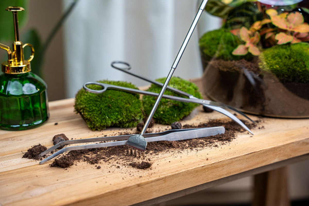 Terrarium Tools Bundle – Black Friday Deal
