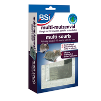 BSI - Multi-Muizenval