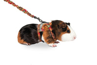 Harnais pour cochon d'Inde ou furet