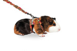 Harness for Guinea Pig or Ferret