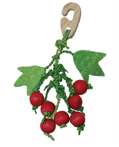 Critter's Choice Happy Pet Nibbler Bunch of Berries 20 CM