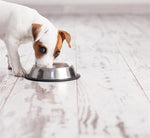 Happy Pet Food Bowl Non-Slip Spaniel 16 CM