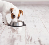 Happy Pet Food Bowl Non-Slip Spaniel 16 CM