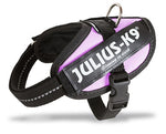 Julius K9 Power Harness/Harness For Labels Pink