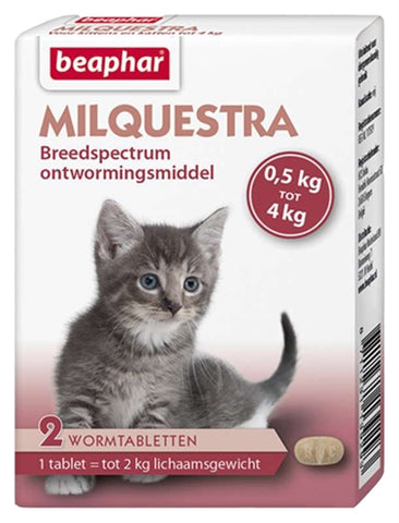 Beaphar Milquestra Petit Chat/Chaton 2 TBL