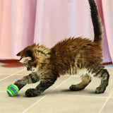 Balles de tennis Kong Cat avec bulles 4X4X4 CM 3 PCS