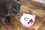 Gamelle pour chat Happy Pet Polka Rose / Crème 300 ML