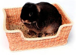 Rosewood Chill 'N' Snooze Rodent Bed 33X26 CM