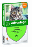 Bayer Advantage Cat 4 pipettes