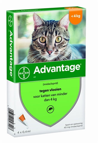 Bayer Advantage Cat 4 pipettes