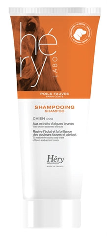 Hery Shampoo For Apricot/Red Brown Hair 200 ML