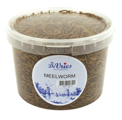 De Vries Soldier Soldier Fly Mealworm 450 GR