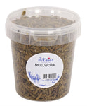 De Vries Mealworm Black Soldier Fly 120 GR