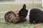 Trixie Willow Tunnel Rabbit 38X20X20 CM