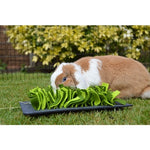 Rosewood Sniffing Mat Rodent Black / Green 29.5X20 CM