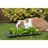 Rosewood Sniffing Mat Rodent Black / Green 29.5X20 CM