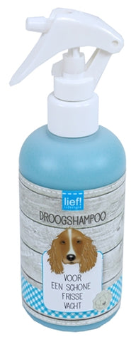 Gentille! Shampoing sec Universel 250 ML