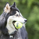 Balle de tennis Kong Squeakair jaune avec bip