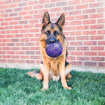 Kong Flexball Purple 15.5X15.5X15.5 CM