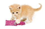 Kong Cat Kickeroo Chaton Assorti 5,5X3X21,5 CM