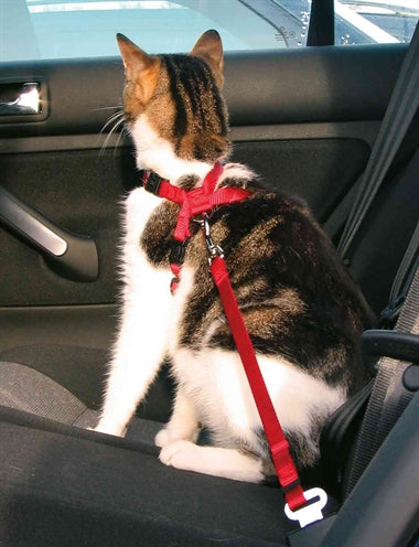 Trixie Cat Harness For In The Car Red 20-50X1.5 CM