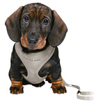 Trixie Junior Puppy Harness Soft With Leash Light Gray 26-34X1 CM / 2 MTR