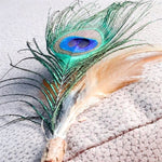Canne à chat Croci Euphoria plume de paon Matatabi 12 CM