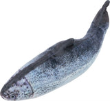 Trixie Spartel Poisson Avec Cataire Tissu Assorti 30 CM