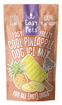 Easypets Easy Freezy Dog Ice Crème glacée pour chien Ananas 2X55GR