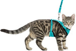 Trixie Harnais pour chat en maille en forme de Y avec ceinture élastique assorti 36-60X100 CM
