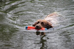 Pare-chocs amphibie Chuckit PETIT