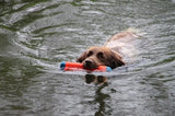 Pare-chocs amphibie Chuckit PETIT
