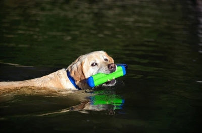 Pare-chocs amphibie Chuckit PETIT