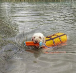 Pare-chocs amphibie Chuckit PETIT