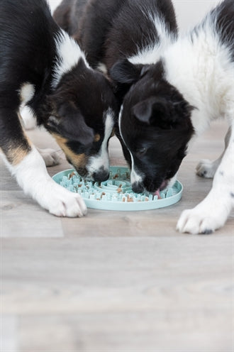 Trixie Junior Lick Plate Mint Green